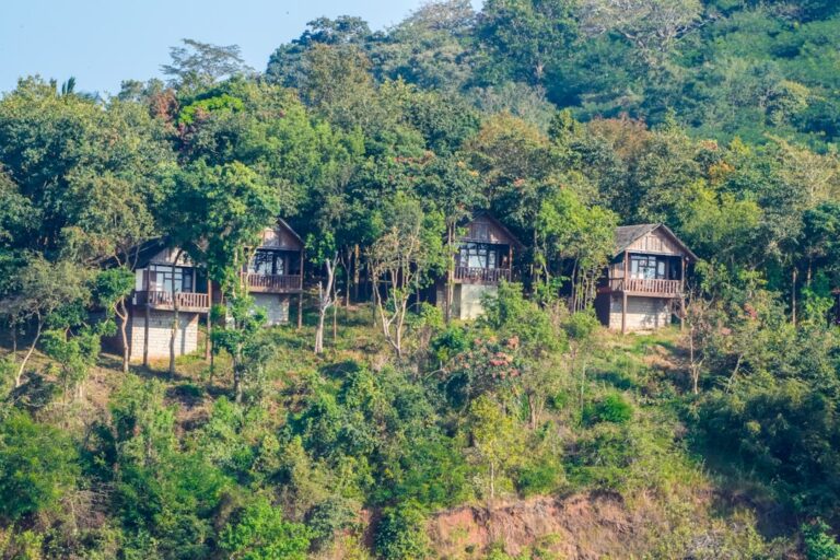 How to Travel Sustainably and Responsibly While Enjoying New Places